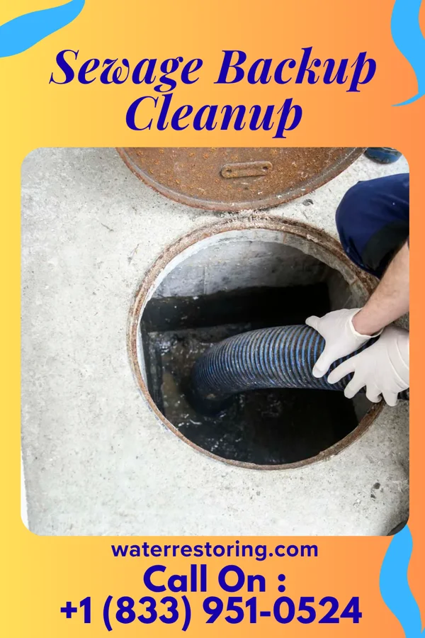 Sewage Backup Cleanup in Paint Rock, AL